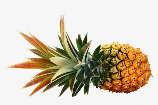Hele ananas — Stockfoto