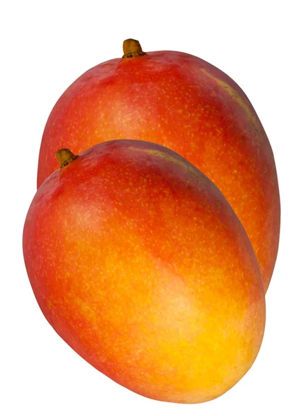 成熟的芒果 — 图库照片