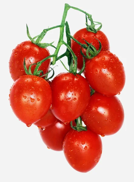 Pomodori piccoli — Foto Stock