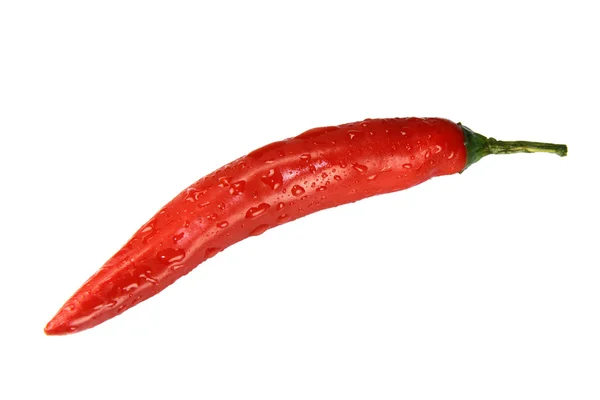Červené chilli na bílém pozadí — Stock fotografie