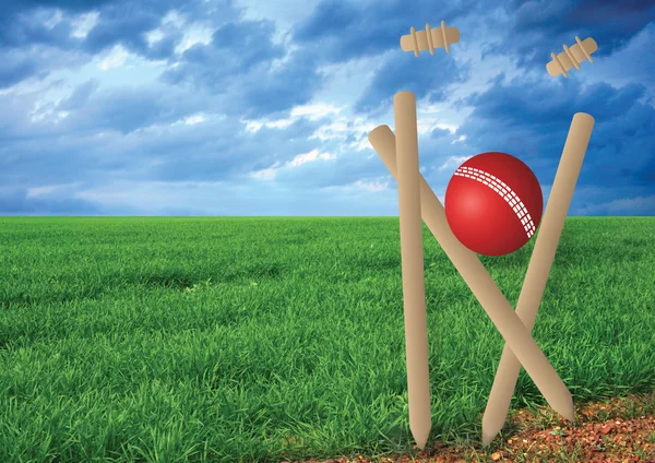 Grama e cricket set — Fotografia de Stock