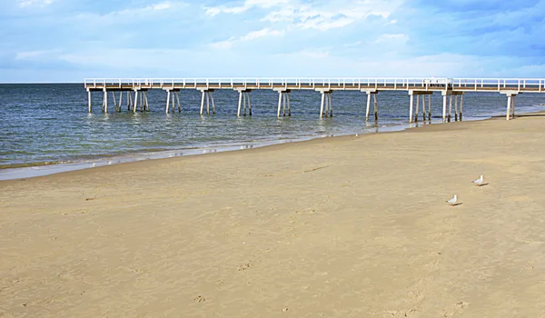 Hervey bay queensland, Ausztrália — Stock Fotó