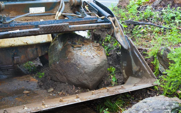 Jardín bobcat — Foto de Stock