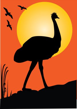 EMU turuncu günbatımı