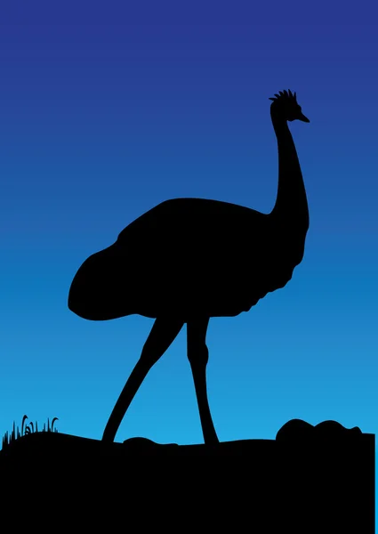 Emu fond bleu — Image vectorielle