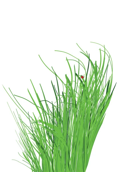 Herbe verte — Image vectorielle