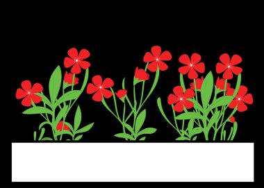 kırmızı çiçekler