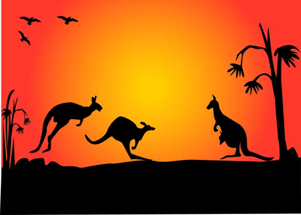 3 kangaroo sunset — Stock Vector