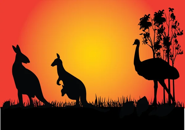 Kangourou et emu au coucher du soleil — Image vectorielle