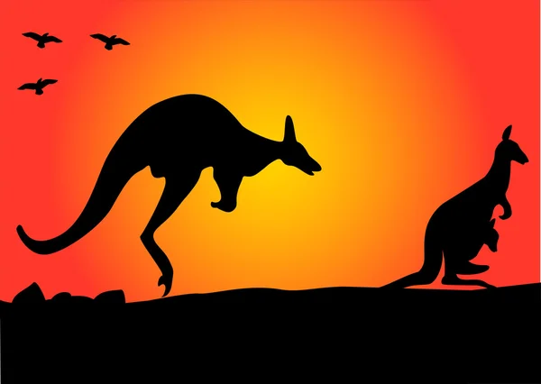 Kangaroo hopping — Stock Vector