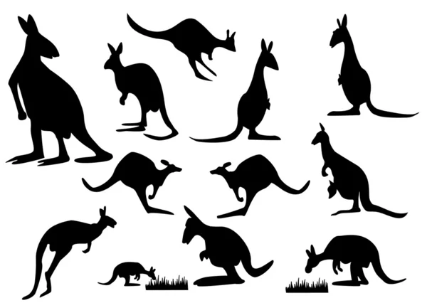 Silhouette kangourou — Image vectorielle