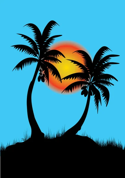 Palm trees — Stock Vector