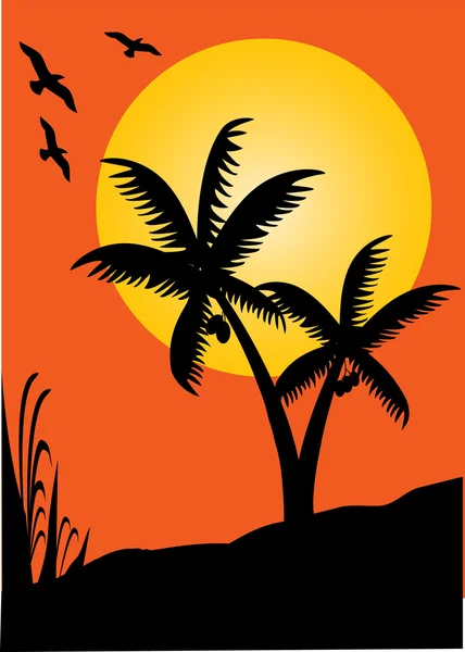 Palmen zonsondergang droom — Stockvector