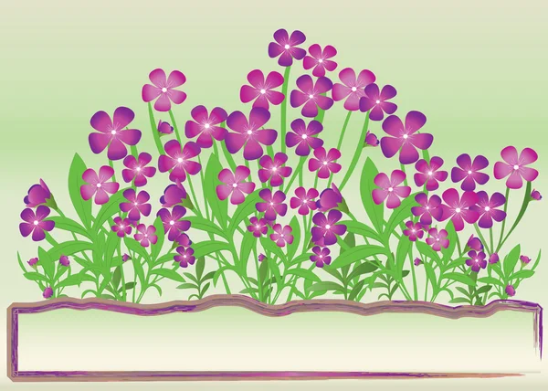 Fleurs violettes — Image vectorielle