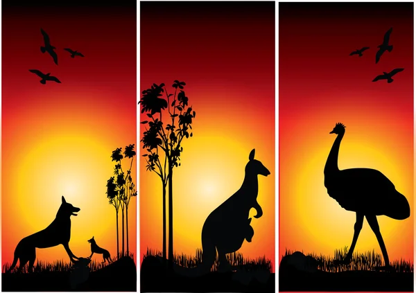 Conjunto de animais australianos com o pôr do sol da noite — Vetor de Stock