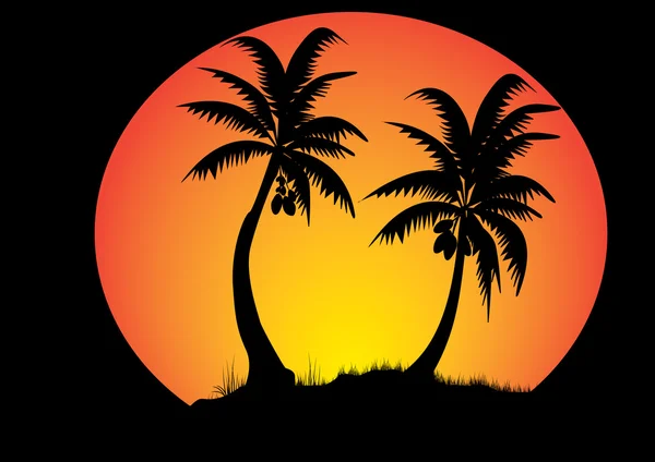 Kokosové palmy — Stockový vektor