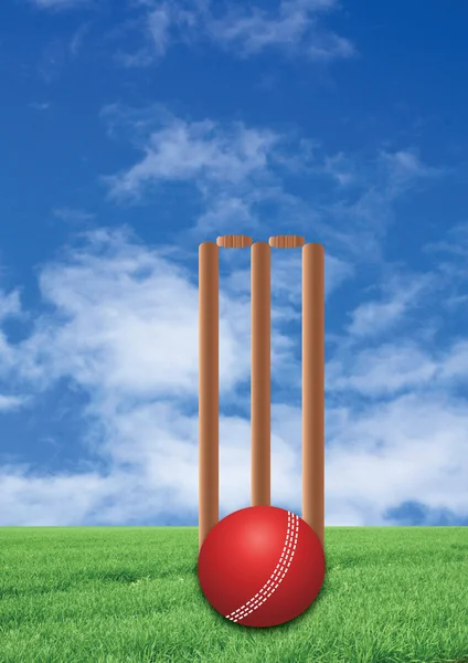 Cricket-Spiel — Stockfoto