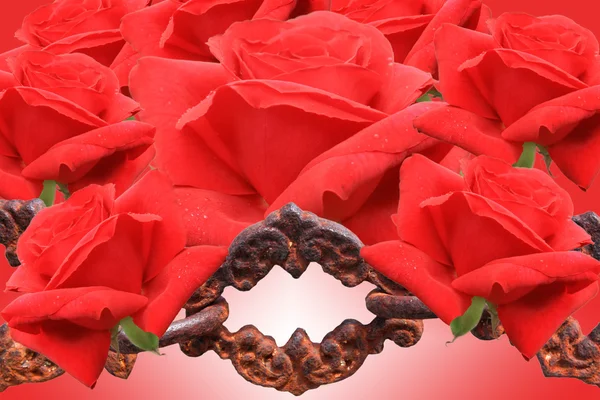 Czerwone róże i stary łańcuch — Zdjęcie stockowe