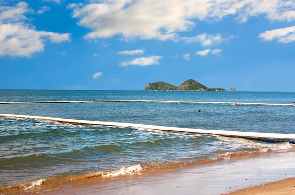 Palm cove stinger čistá skříň — Stock fotografie