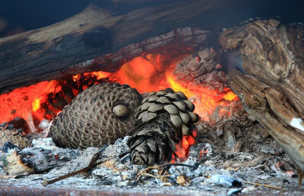 Campo antincendio — Foto Stock