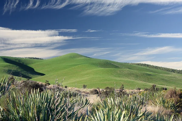 Rolling hills — Stock Photo, Image