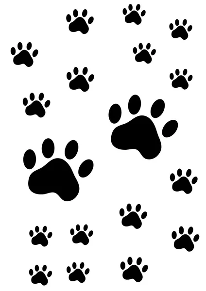 Dog paw — Stock Vector