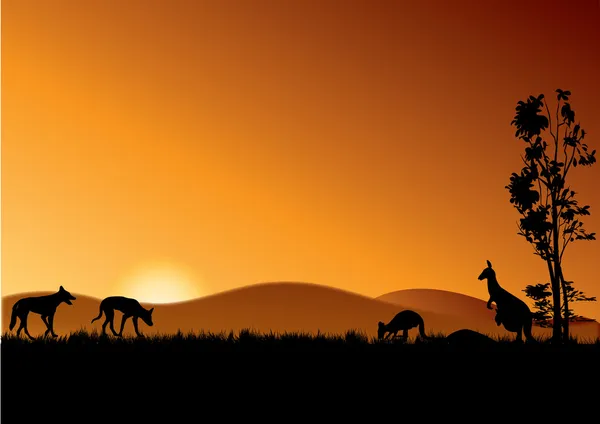 Dingo et kangourous au coucher du soleil — Image vectorielle