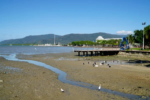 View Waterfront Cairns Australia Tide Going Out — Stock Photo, Image