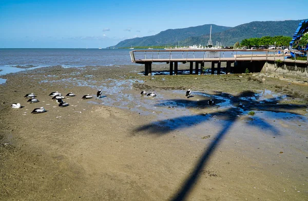 潮が岸に沿って出ているのでケアンズの景色 — ストック写真