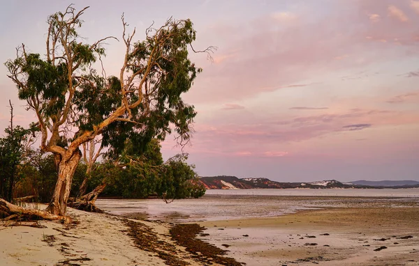 Plaża Elim Beach Półwysep Cape York Daleko Północna Queensland Australia — Zdjęcie stockowe