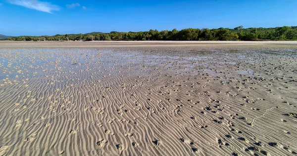 Soft Squeaky White Sand Shallows Provide Plenty Exploration Numerous Starfish — Stock Photo, Image