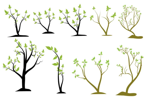 褐色和黑色树干中的一组不同的向量树 — 图库矢量图片