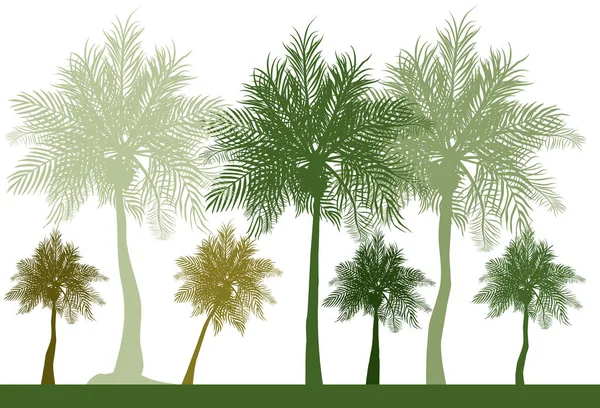 Силуэт Множества Различных Оттенков Зеленых Кокосовых Деревьев — стоковый вектор