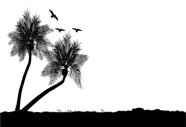 Dvě Siluety Kokosových Stromů Květinami Trávou Pár Ptáků Létajících — Stockový vektor
