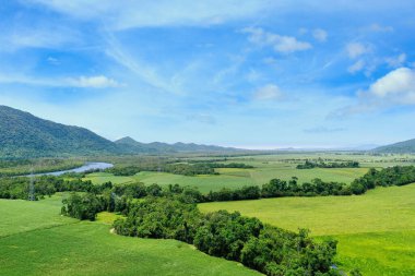 Şekerkamışı tarlasının havadan görünüşü, arka planda dağlar, Deeral 'da bir tarım bölgesi.