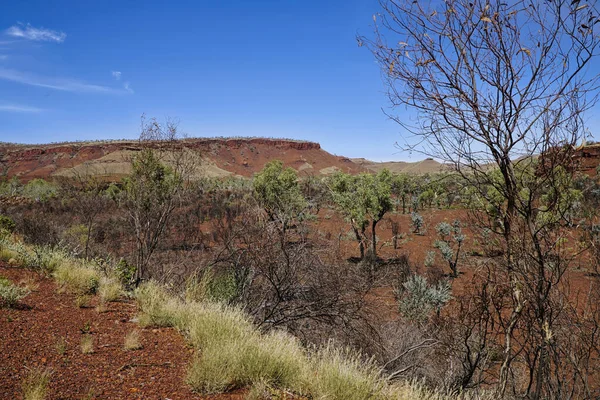 Pilbara Una Región Del Noroeste Australia — Foto de Stock