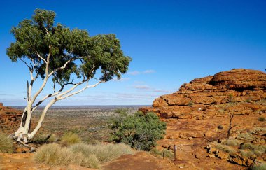 Kuzey Bölgesi, Watarrka Ulusal Parkı, Avustralya 'da Krallar Kanyonu' nun tepesinden manzara
