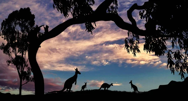 Kangaroos Koala Gum Tree Silhouette — Vetor de Stock