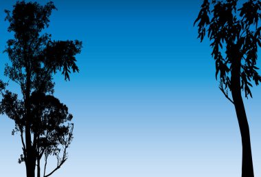 Siyah sakız ağaçları silueti ve mavi bir arkaplan