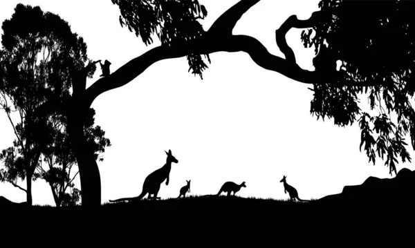 Silhouette Kangaroos Large Gum Tree Koala Sitting Tree — Stockvektor