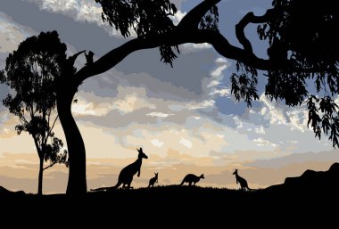 Büyük bir sakız ağacı ve ağaçta bir koala olan kanguru silueti.