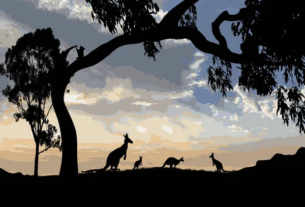 Silhouette Kangaroos Large Gum Tree Koala Sitting Tree — Stockvektor