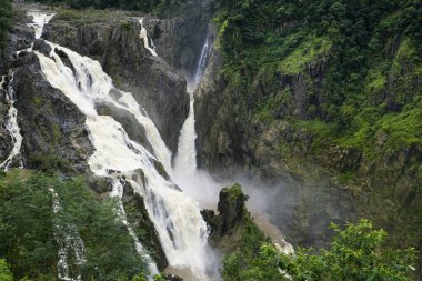 rainforest around Barron Falls in the Barron gorge National Park