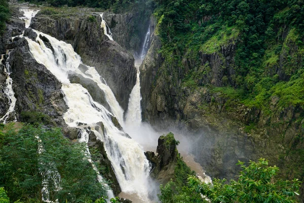 Regenwald Rund Die Barron Falls Barron Gorge National Park — Stockfoto