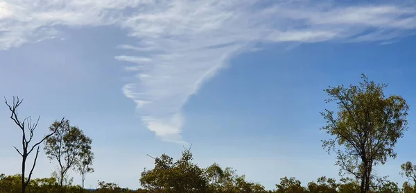 写真の下に青い空とガムの木がある珍しい雲 — ストック写真