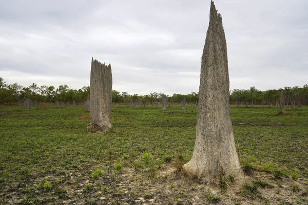 Tall Magnetic Ant Mounds Northern Territory Australia — Zdjęcie stockowe