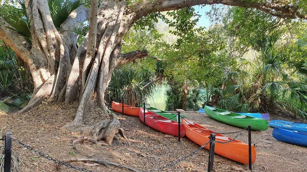 Canoes Lawn Hill Oasis Outback Australia Shire Burke Queensland Australia — Stock Photo, Image