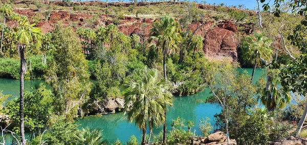 Lawn Hill Oasis Outback Australia Shire Burke Queensland Australia — Foto Stock