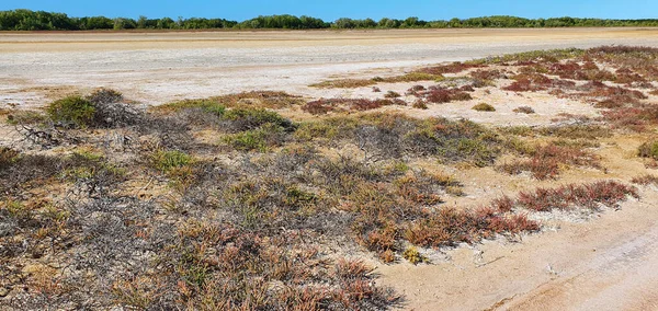 Bing Bong Coastal Area Northeast Northern Territory Australia — Φωτογραφία Αρχείου