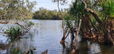 wetland in the Northern Territory of Australia, Kakadu National Park is a World Heritage area